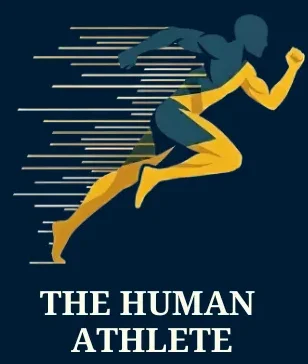 tmpnkb58jy4 e1769523339233 1.webp